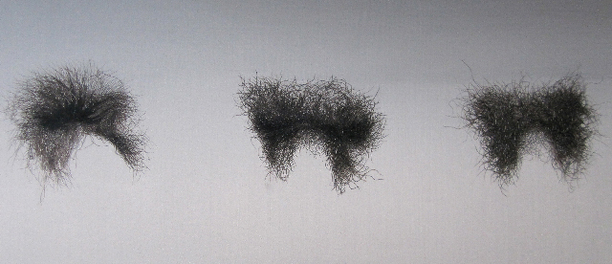 Untitled, 2005 to 2008, Silk on Silk Hand embroidered 38cm X 98cm - Silk on Silk by Tom Bell