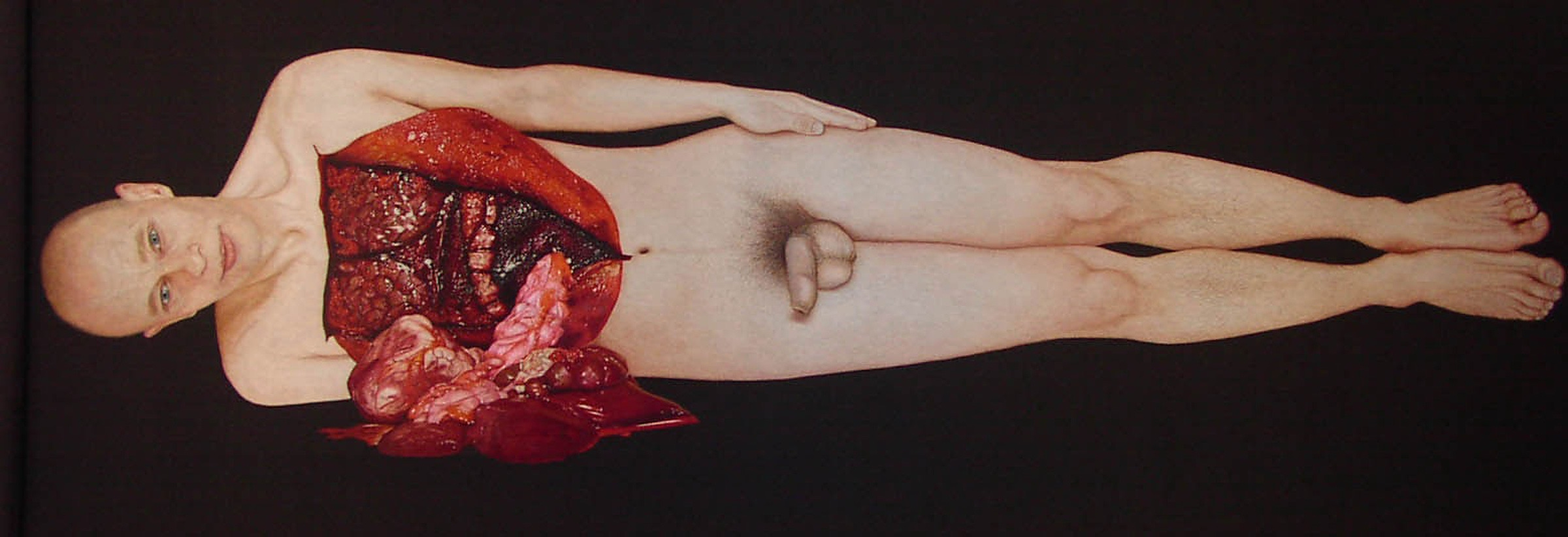 Untitled, 2005 to 2008, Silk on Silk Hand embroidered 90cm x 202 cms. - Silk on Silk by Tom Bell