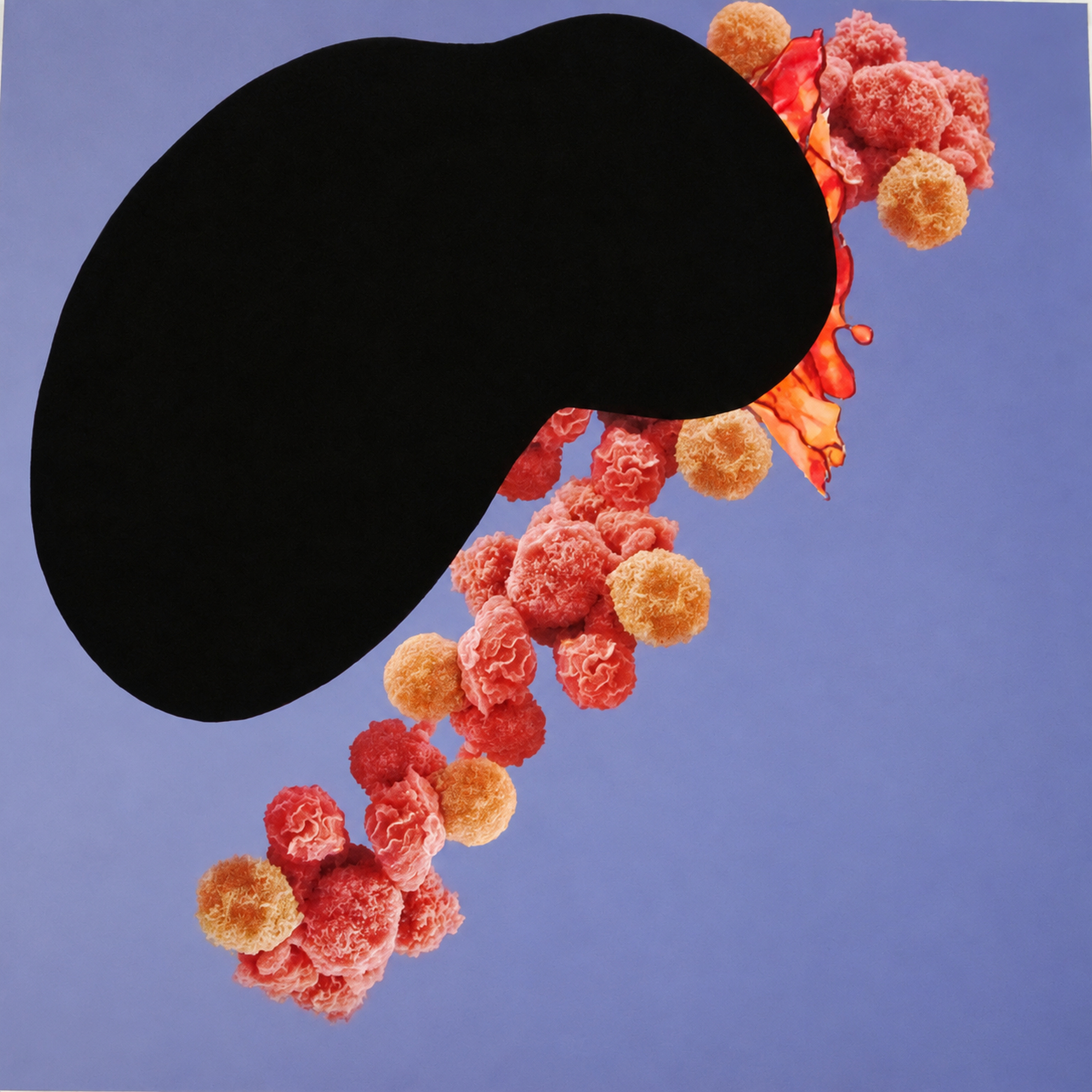Untitled, 2012, Print and Acrylic Paint, Paper Size 45x45cm, Edition of 2 - Works on Paper by Tom Bell