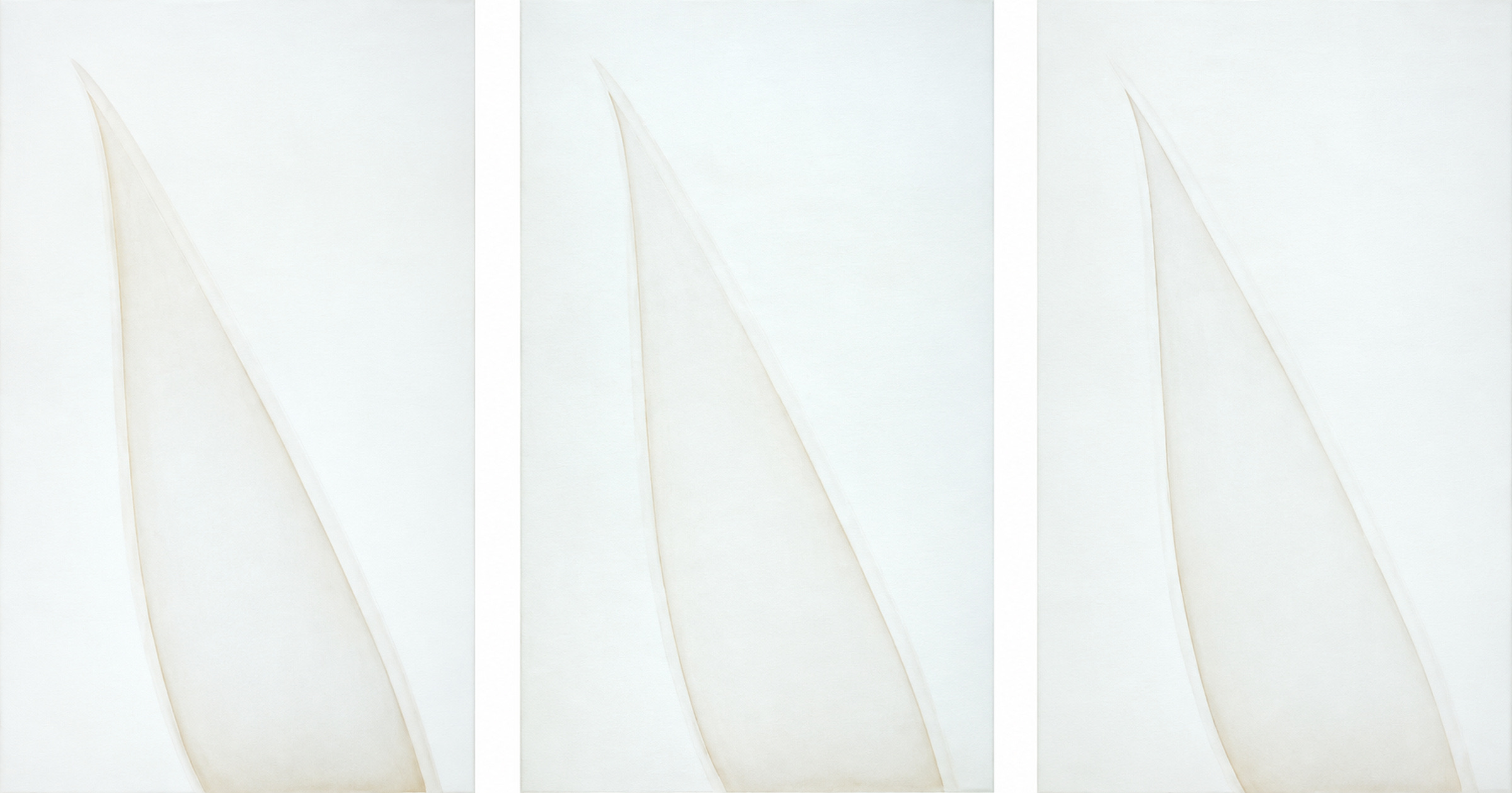 Untitled, 1993, Aquatinte. Open bite. paper size: 64 x 40cm Edition of 1/11. Ediciones benveniste. - Works on Paper by Tom Bell